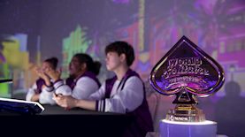 אליפות הסוליטר פאפאיה, צילום: יחצ